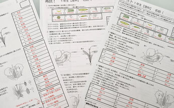 RISE講師オリジナルのプリント式テキスト